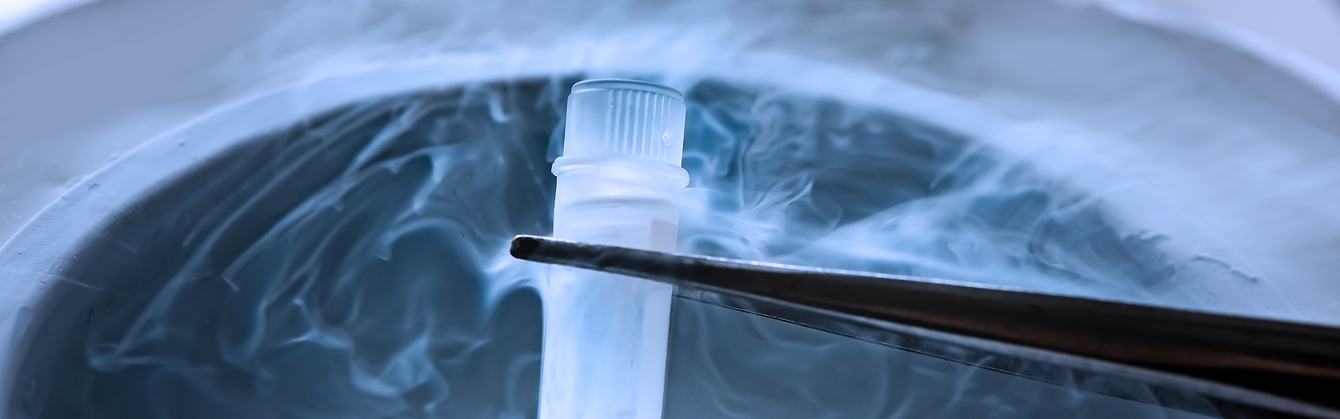 What does thawing look like in cryopreservation?